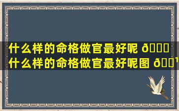 什么样的命格做官最好呢 🍁 「什么样的命格做官最好呢图 🌹 片」